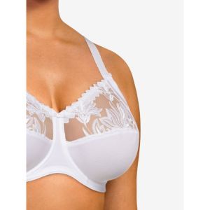 Amazone BLANC