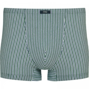 3 Col Stripes 770 evergreen