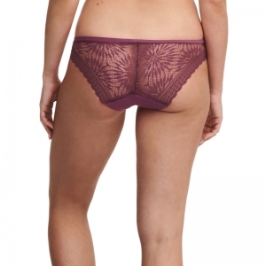 Period Panty extra lace 01Y TANNIN