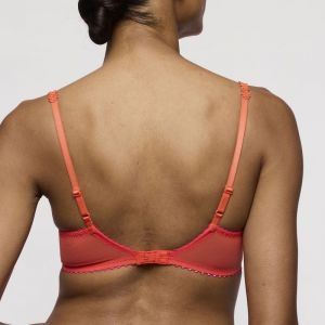 SOLENE PMS Pamplemouss