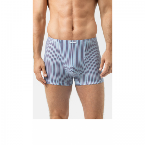 Raspberry Stipes 309 dream blue