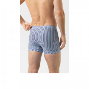 Raspberry Stipes 309 dream blue